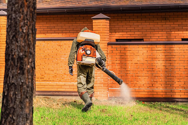 Bed Bug Clearance Verification and Documentation in Wilmer
